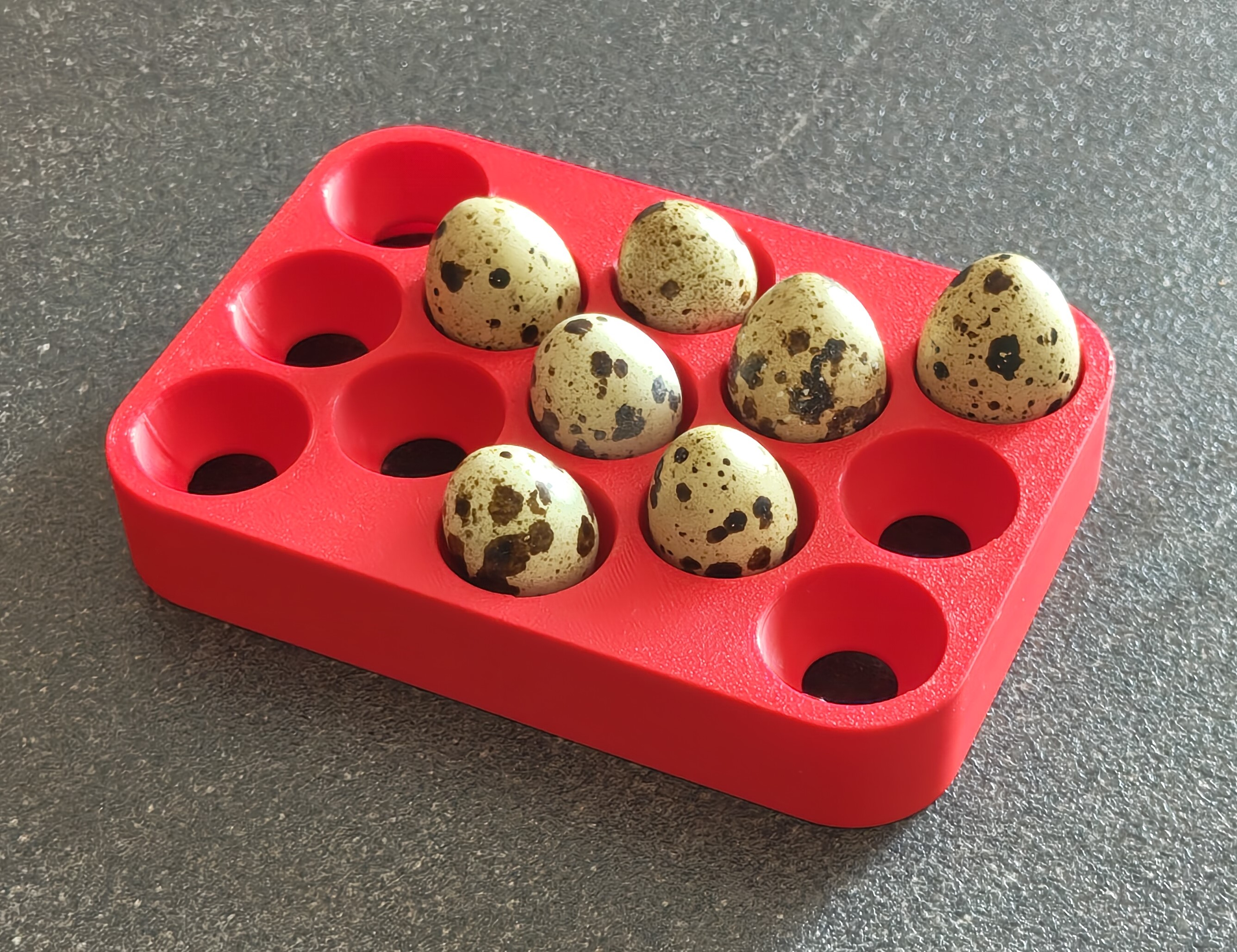 Tray for quail eggs