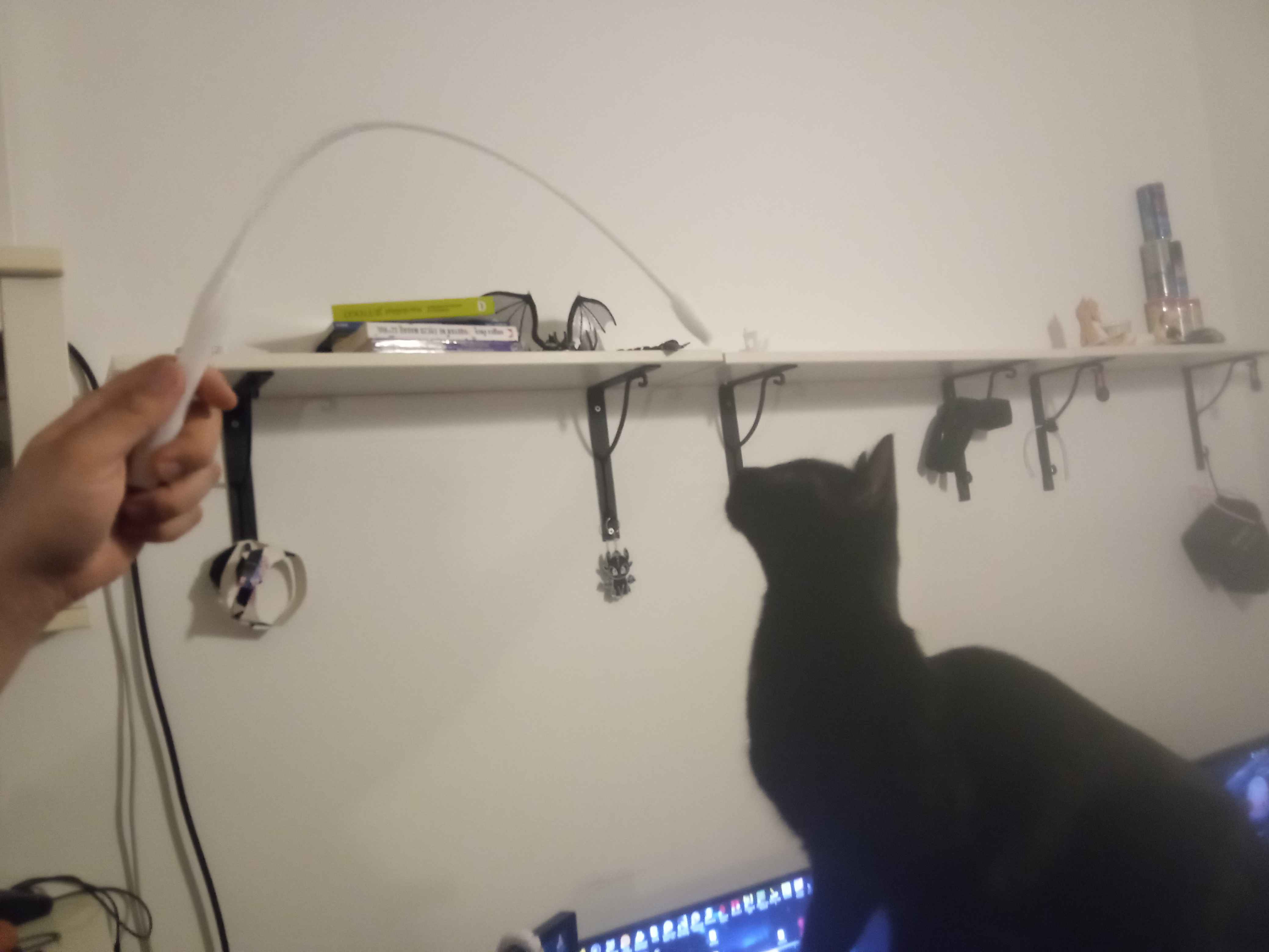 Simple TPU cat toy