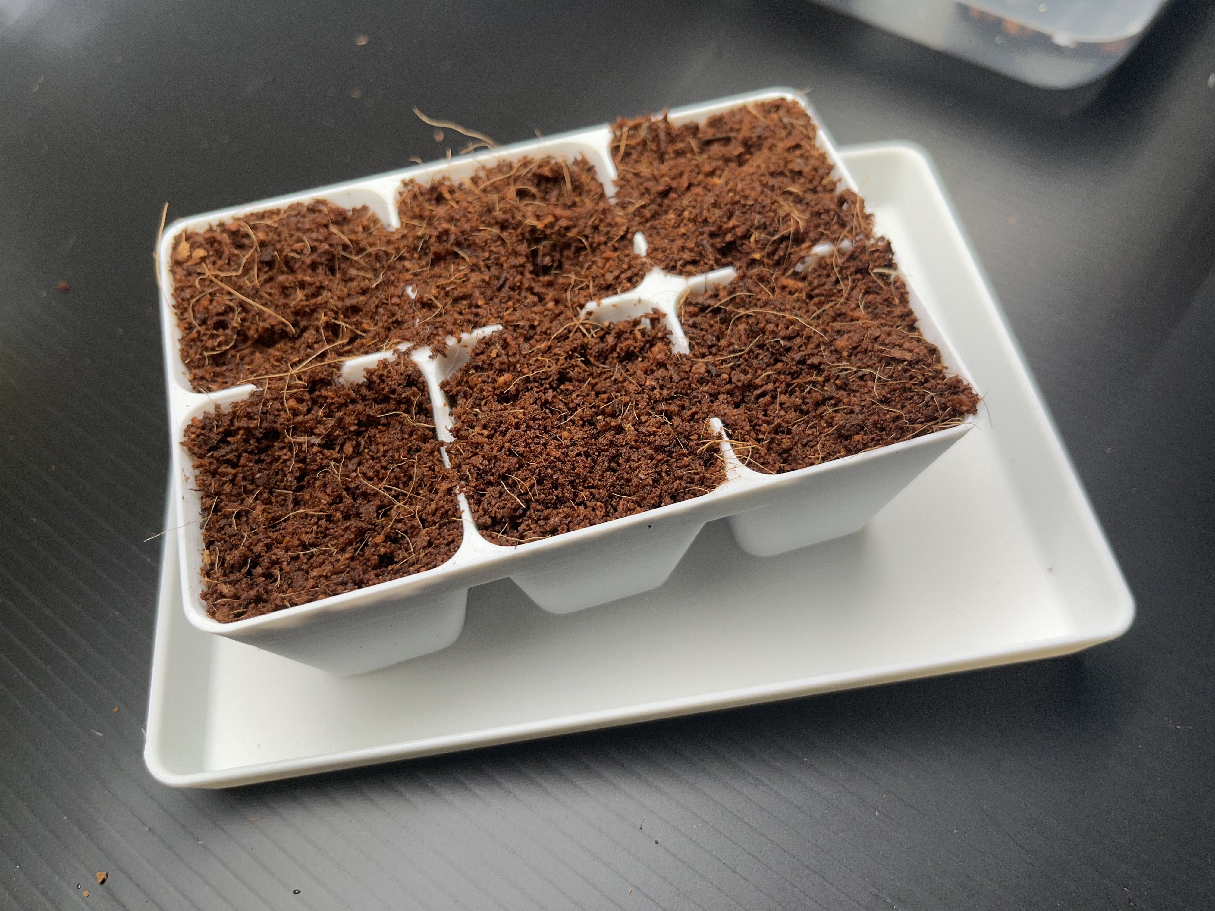 Tray for 2 6-cell seed trays