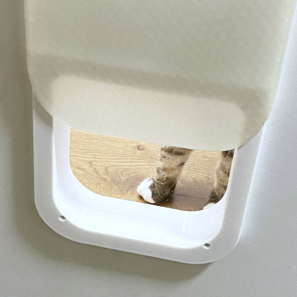 Cat door - manually closable