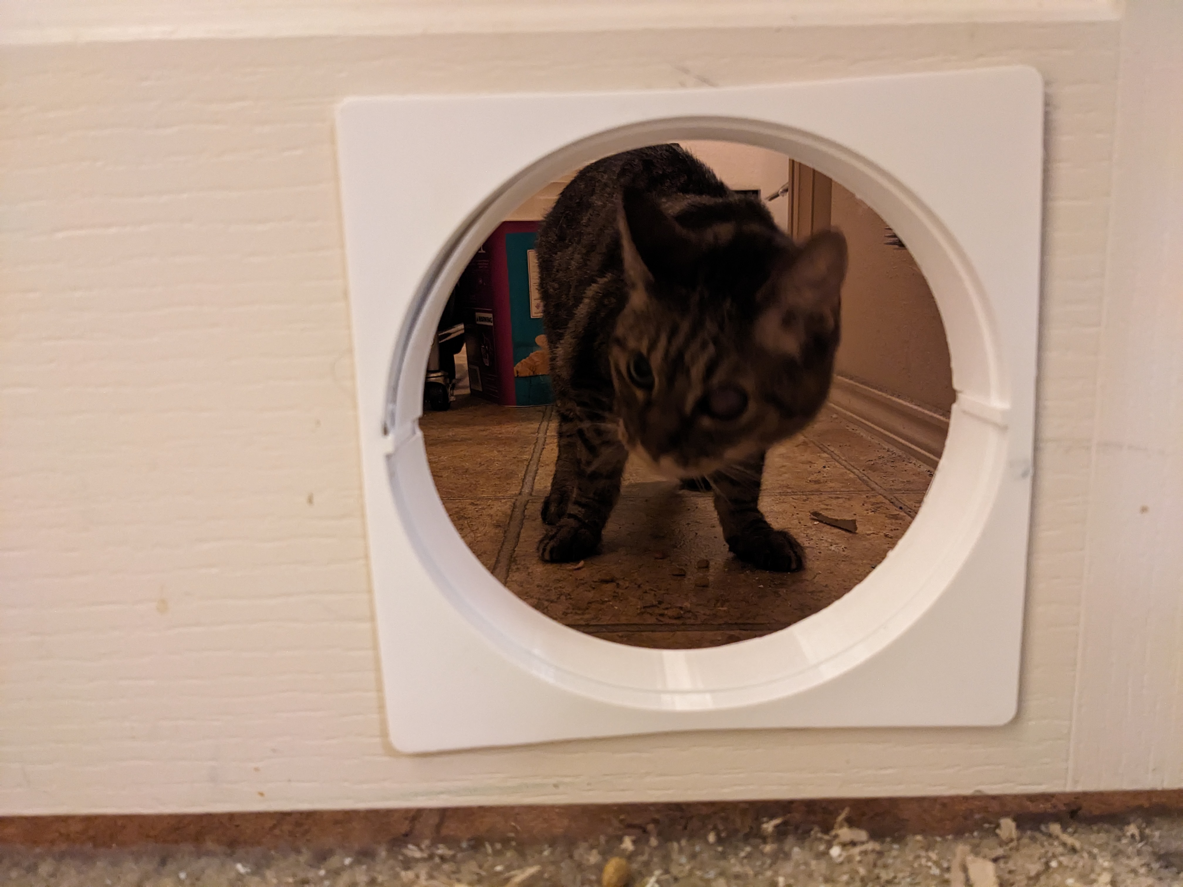 Simple Cat Door