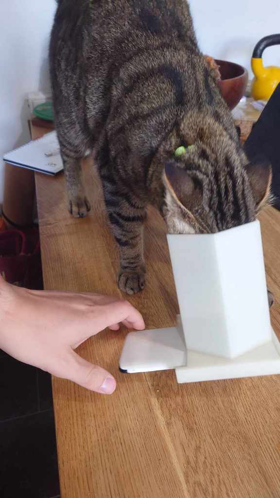 Phone Cat Toy