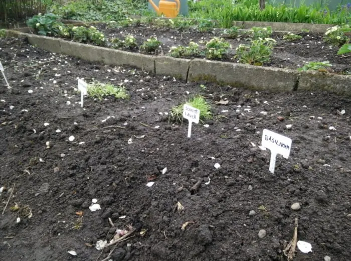 Garden Plant Label - photo 2