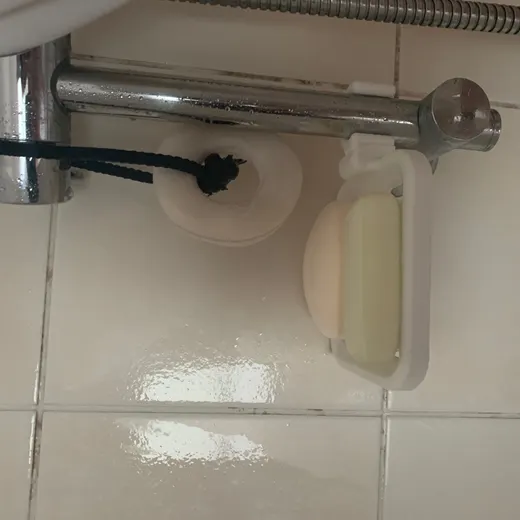 Soap Dish