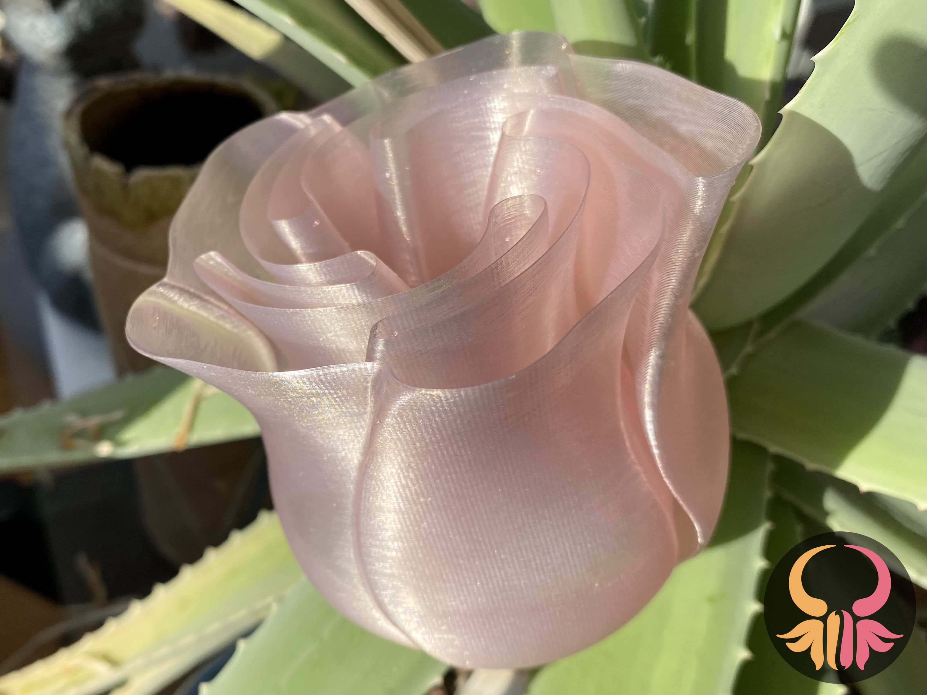 Spiral Vase Rose
