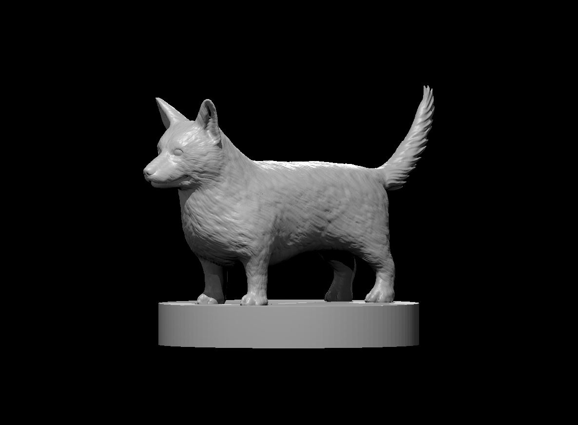Corgi miniature