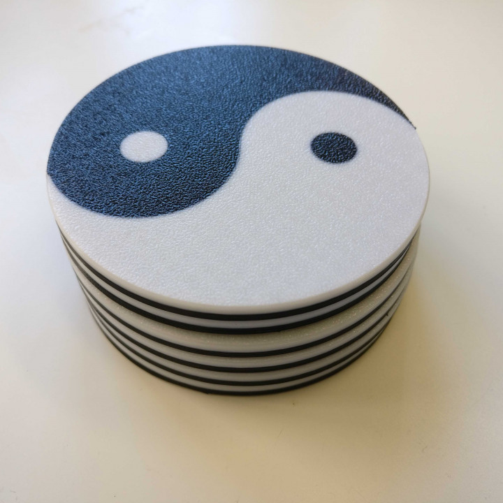 Yin and Yang Coaster