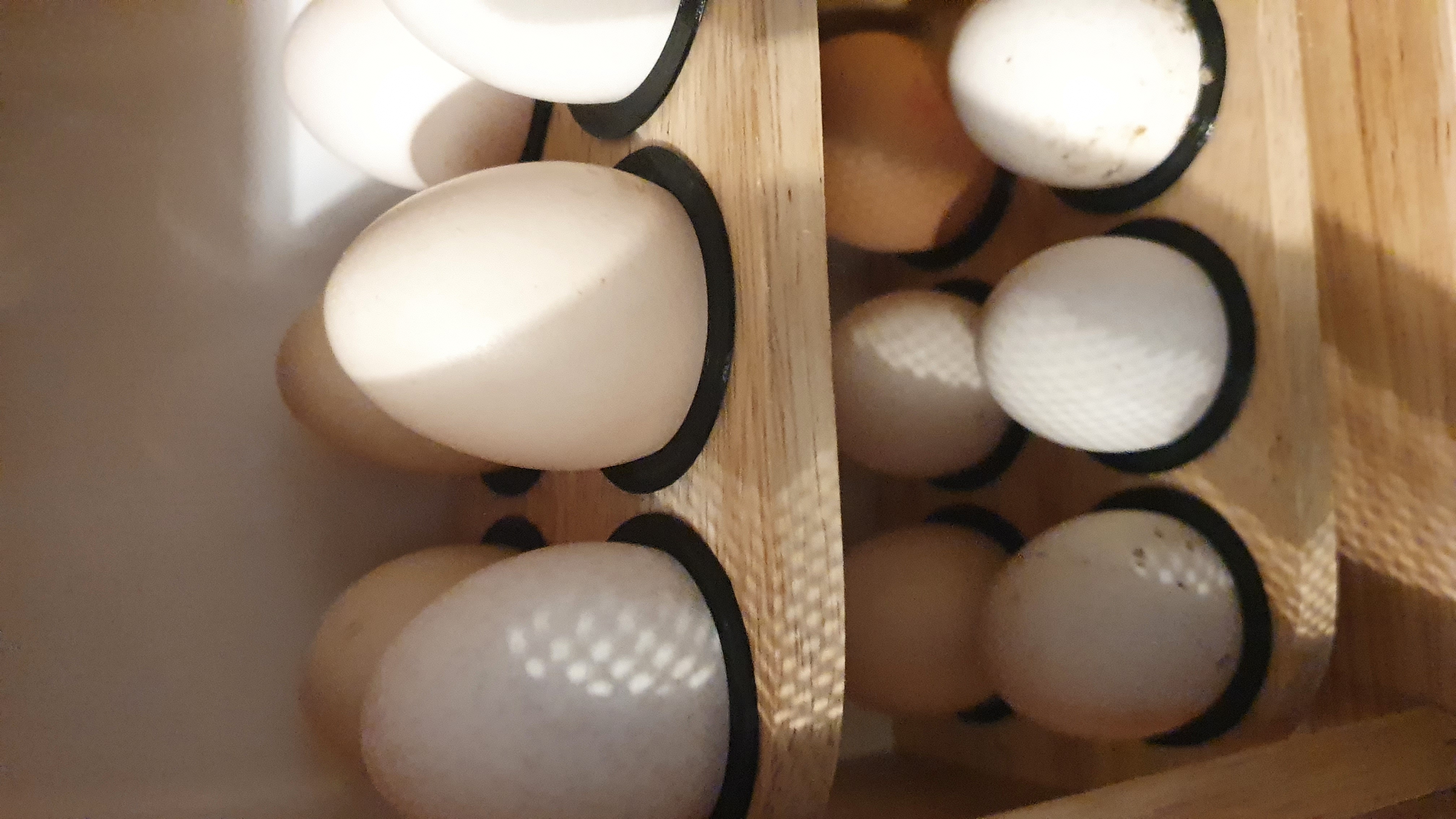 Small Egg Storage Washer