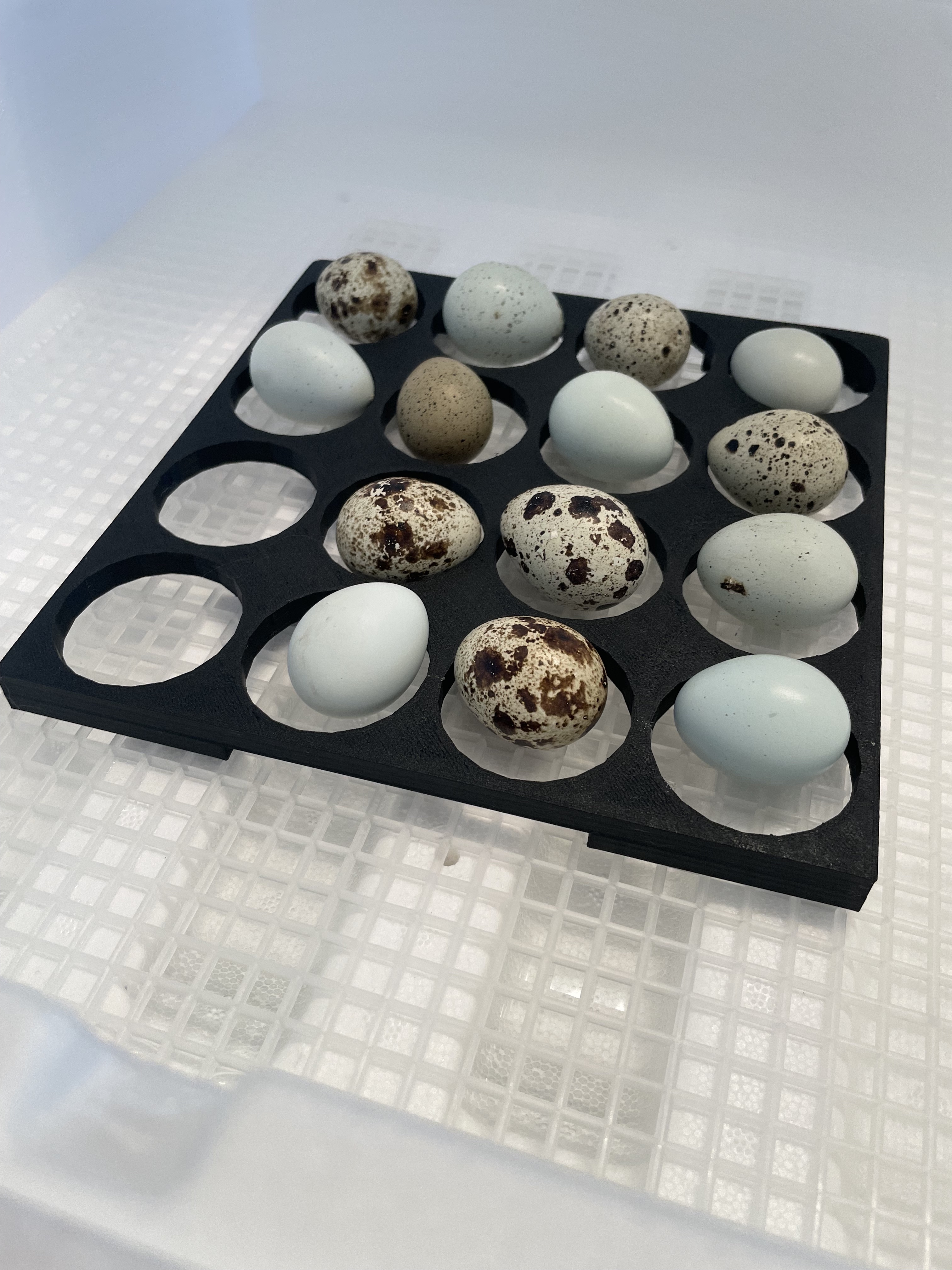 Quail Egg Turning Tray - photo 2