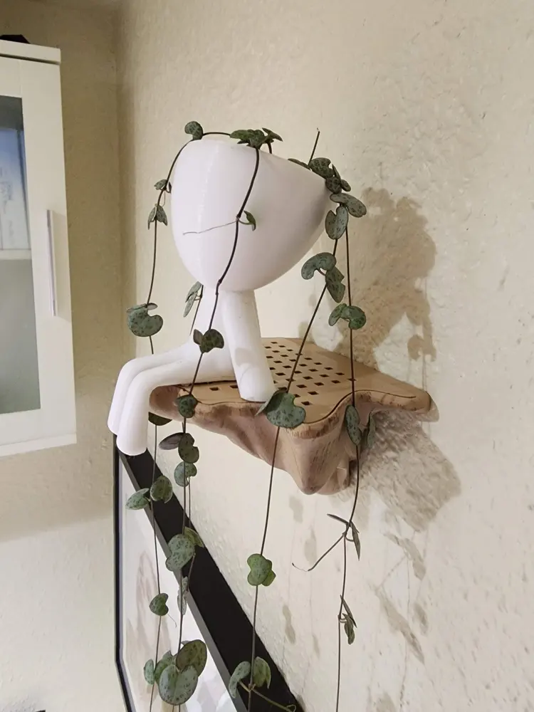 Floating Shelf Mushroom with drainage grate for plants