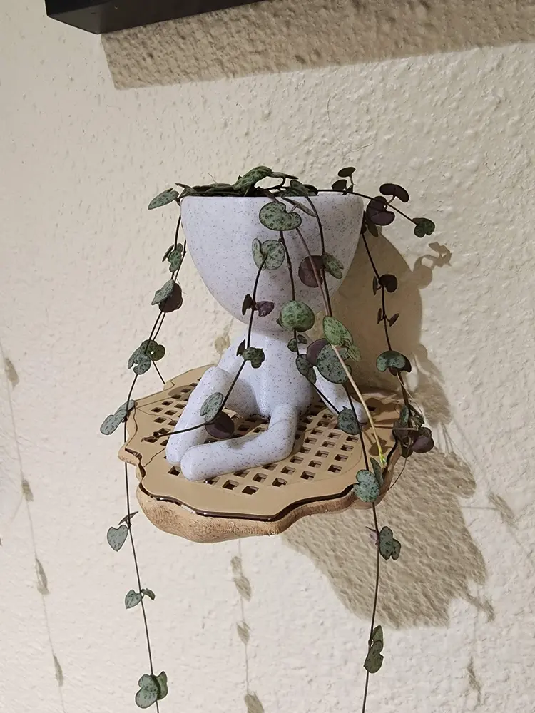 Floating Shelf Mushroom with drainage grate for plants - photo 2