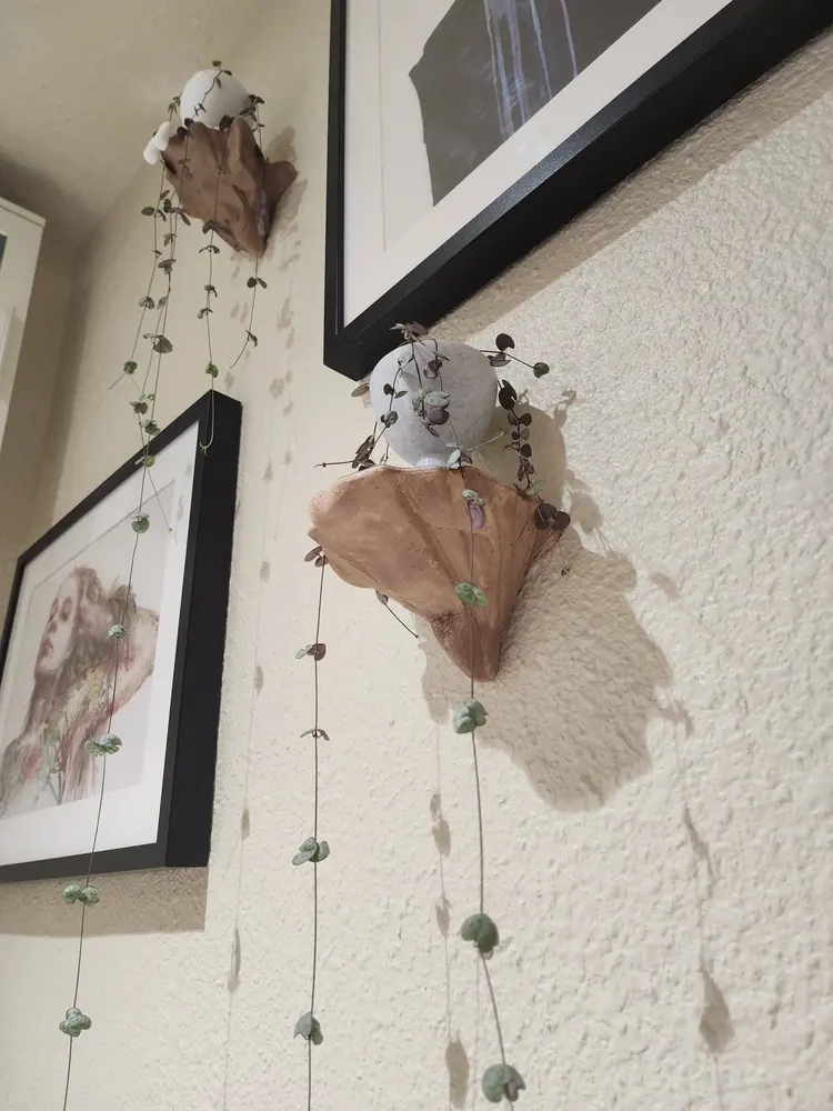 Floating Shelf Mushroom with drainage grate for plants - photo 3