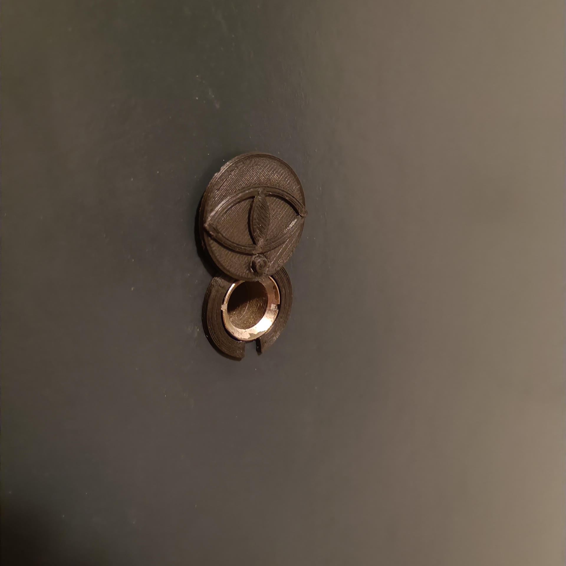 door viewer cover - photo 2