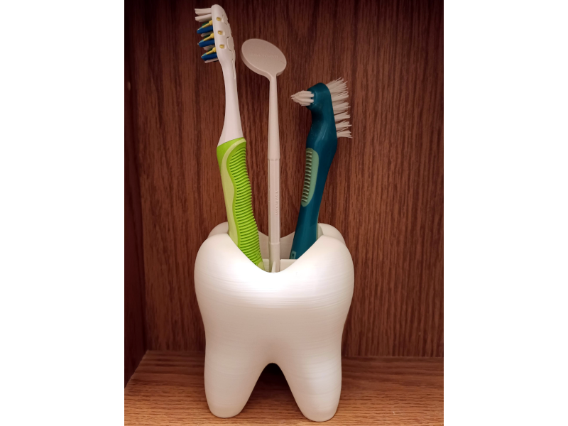 Toothbrush Holder Tooth