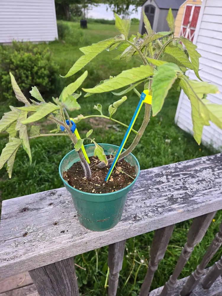Plant Stake Kit- Easy 3D Printed Garden Stakes - photo 3