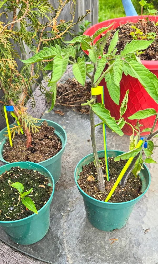 Plant Stake Kit- Easy 3D Printed Garden Stakes - photo 2