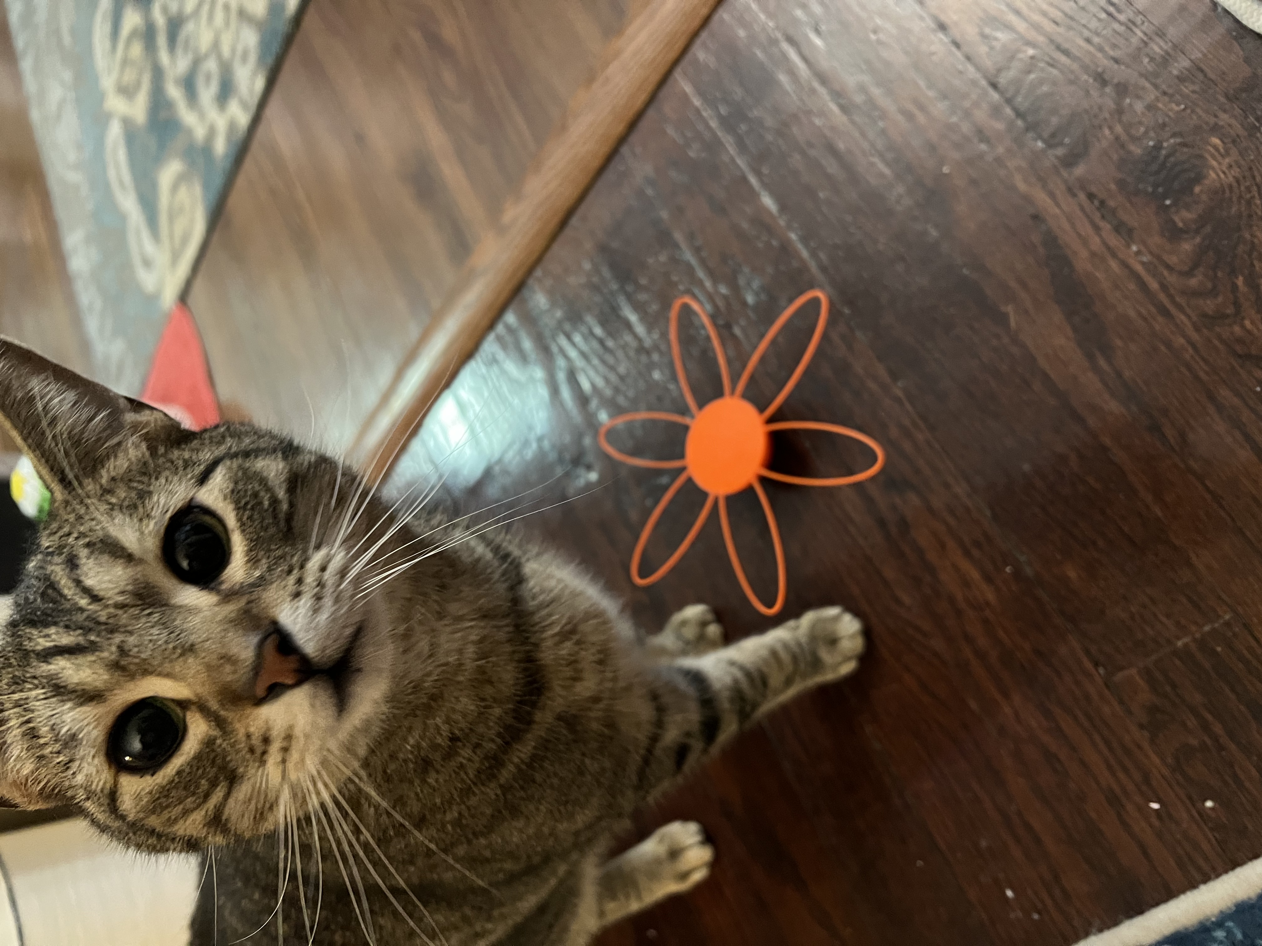 Simple Cat toy - photo 2
