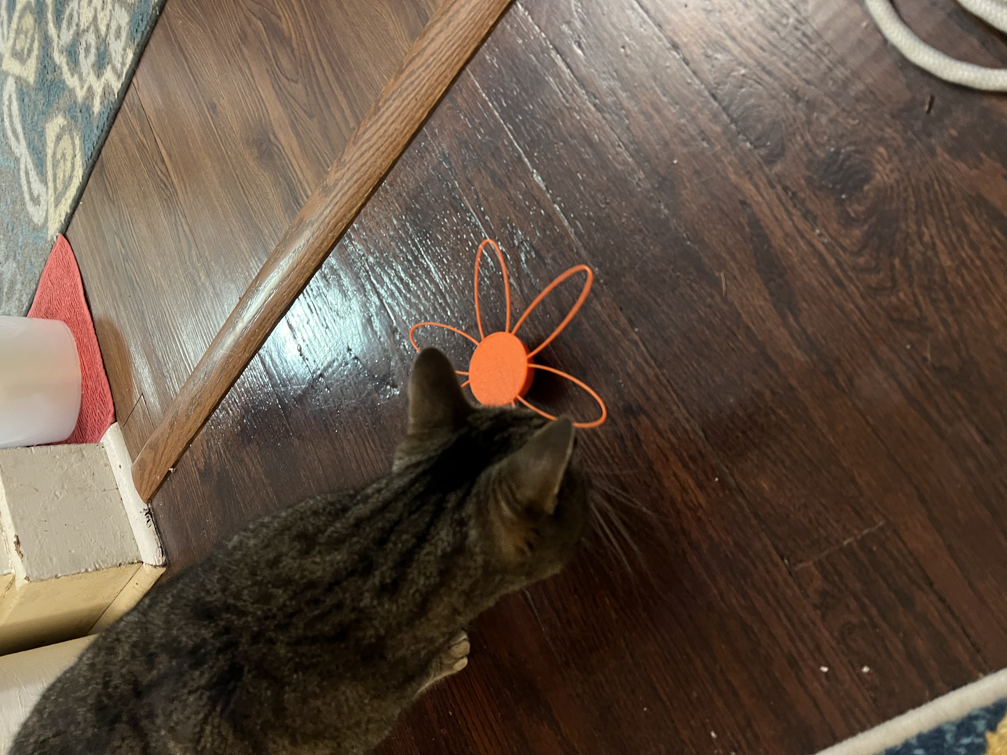 Simple Cat toy - photo 3