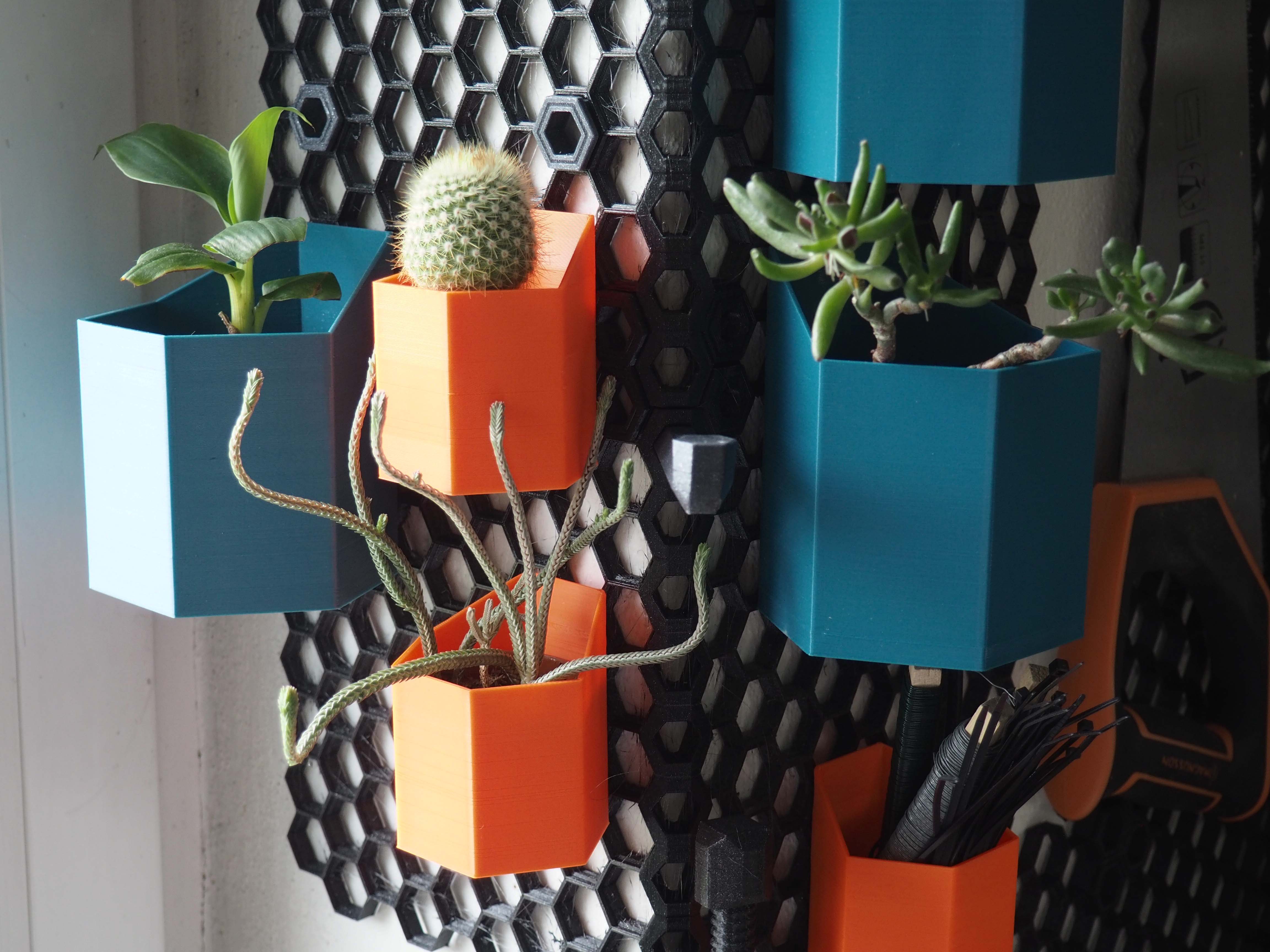 Hexagonal Containers for Honeycomb Storage Wall