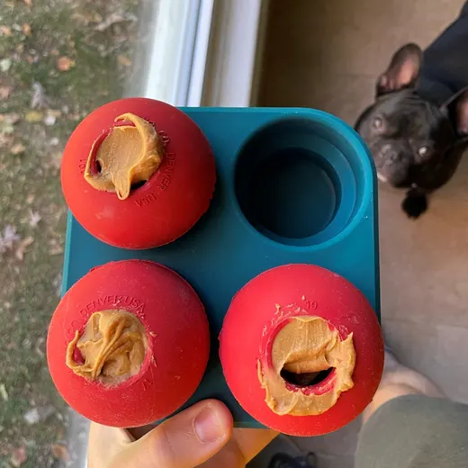 Kong Dog Toy Freezer Tray (Large Kong)