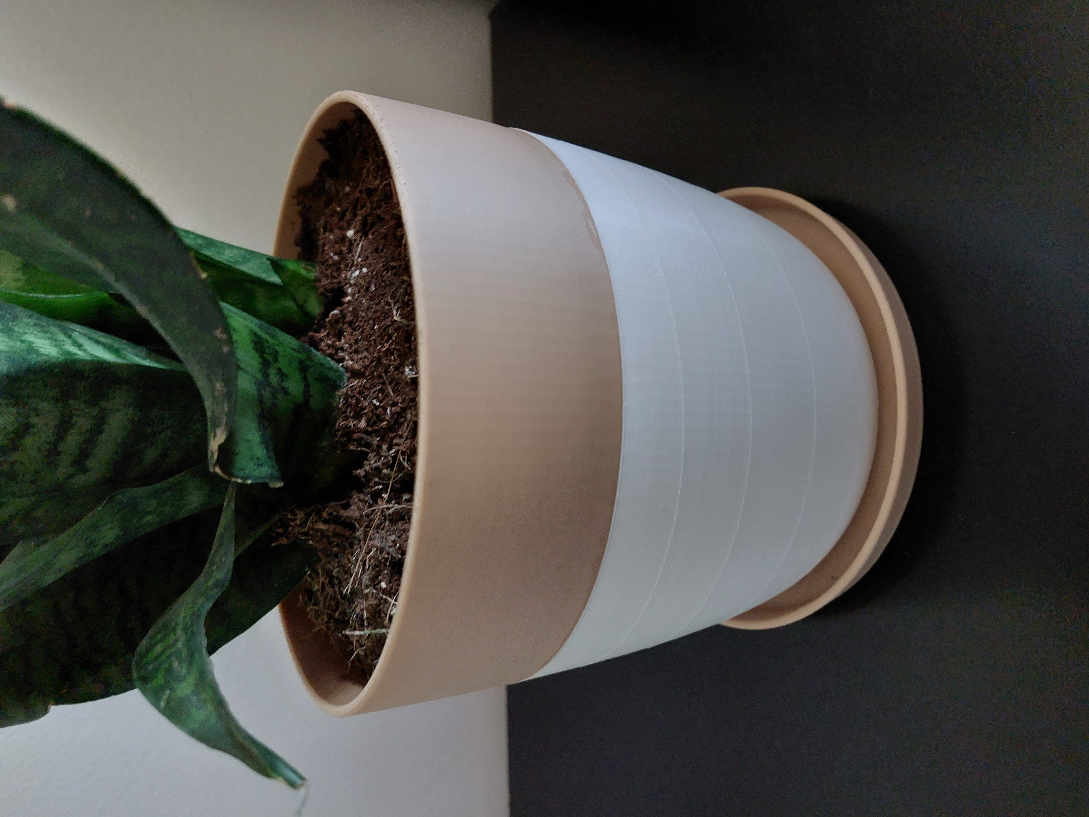 Parametric Two Tone Flower Pot w/ Tray - No Filament Change - photo 2
