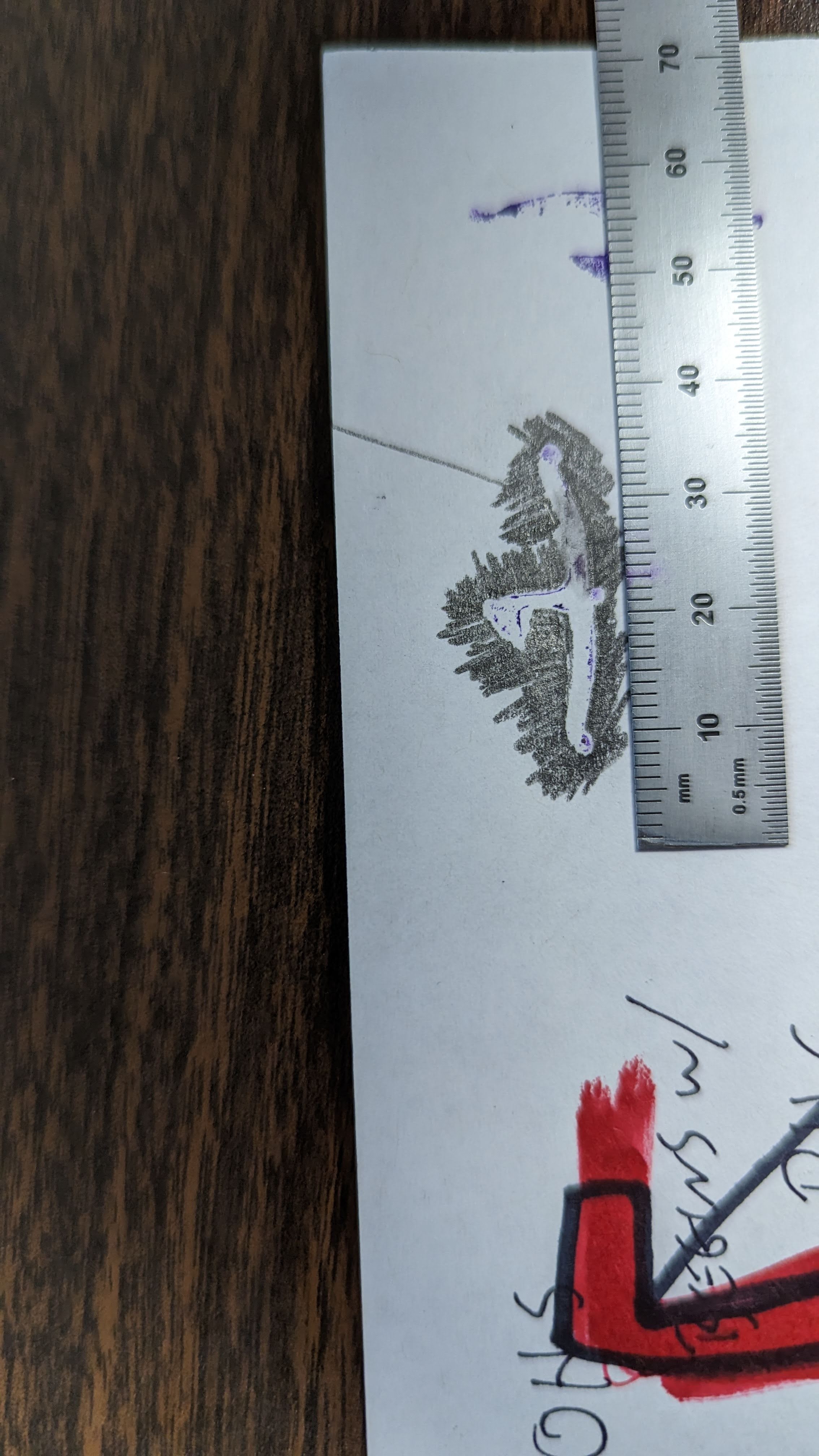 Screendoor window retainer clip - photo 3