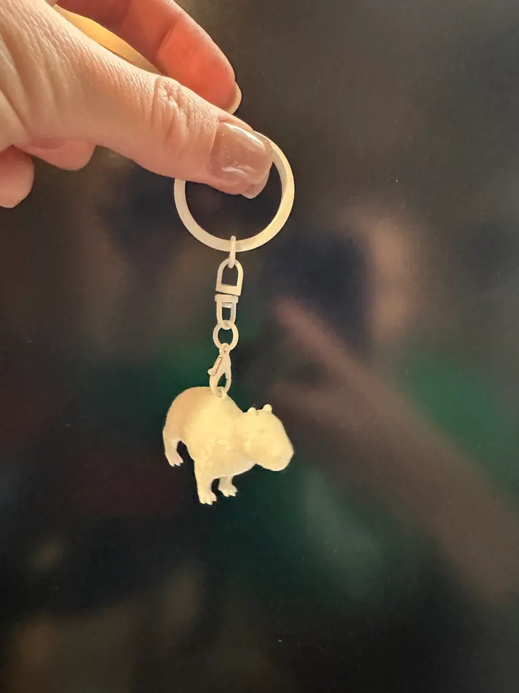 Capybara keychain