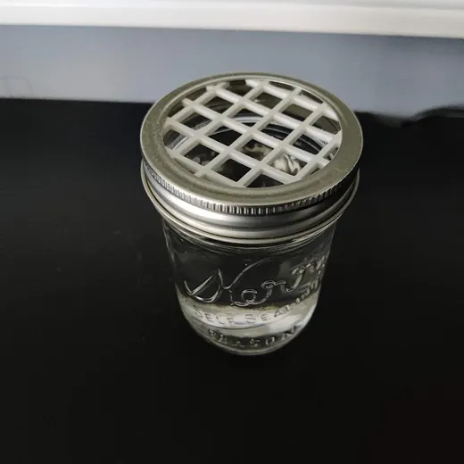 Plant Propagation Lid for Mason Jar - photo 2