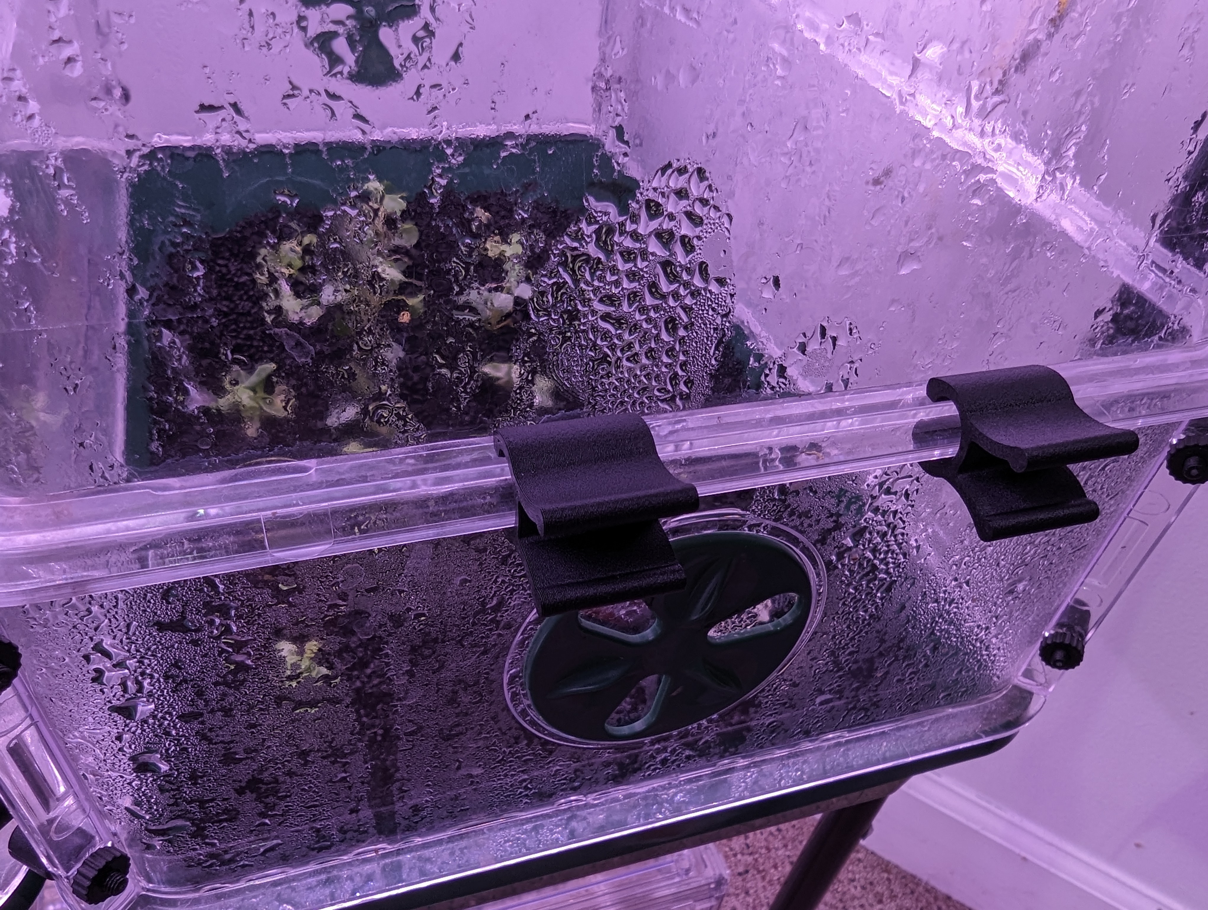 EarlyGrow Clip Replacements