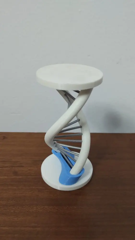 DNA Fidget Toy - photo 3