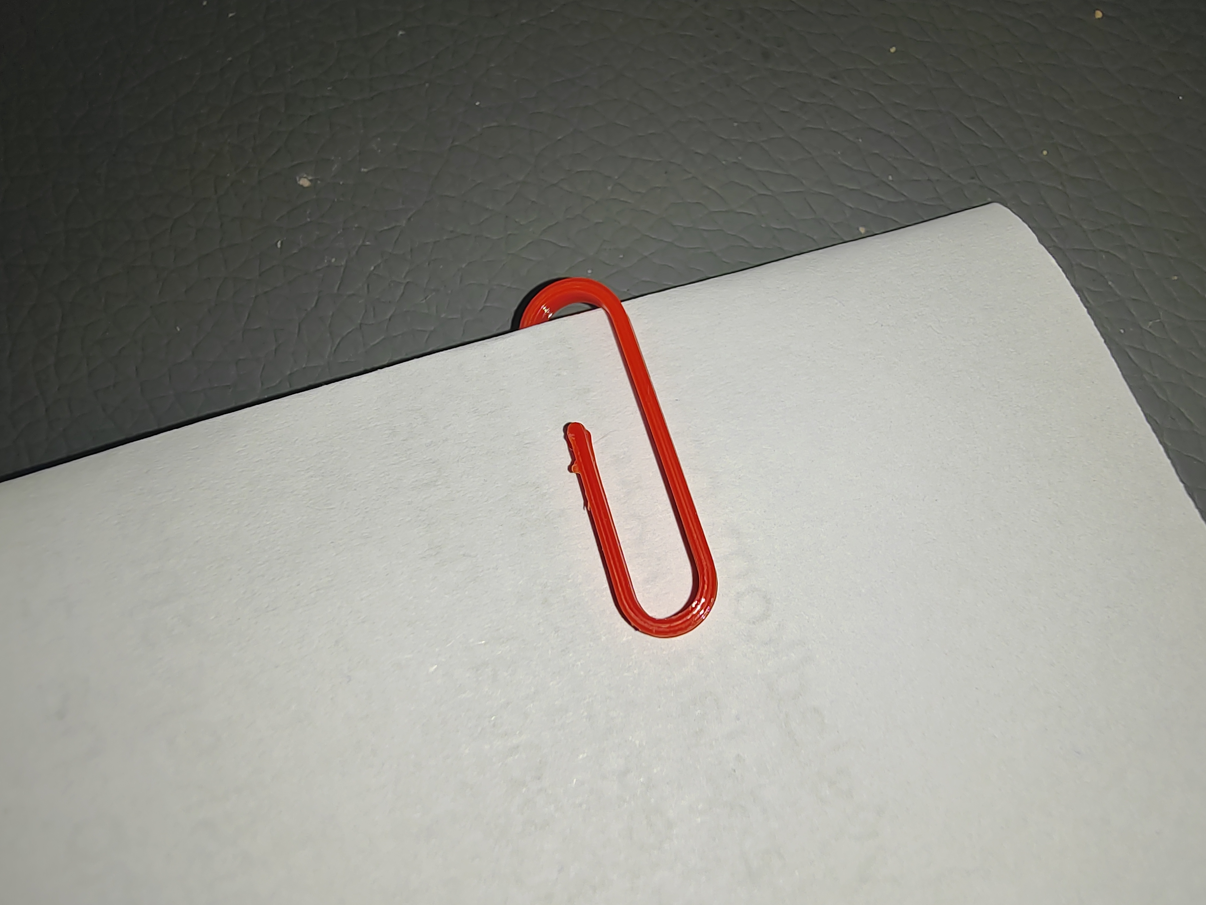 JUST A PAPER CLIP! - photo 2