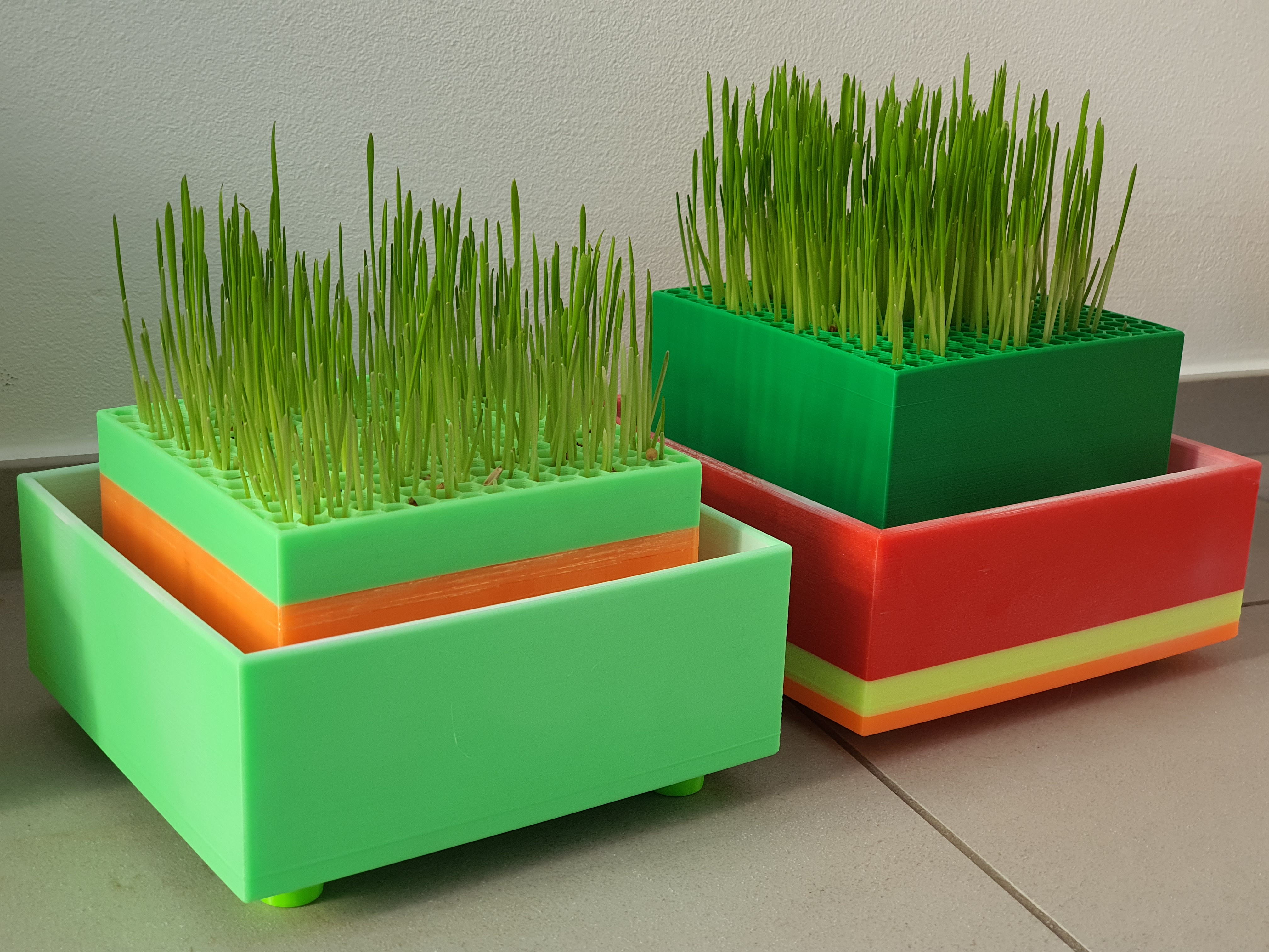 Cat Grass Planter