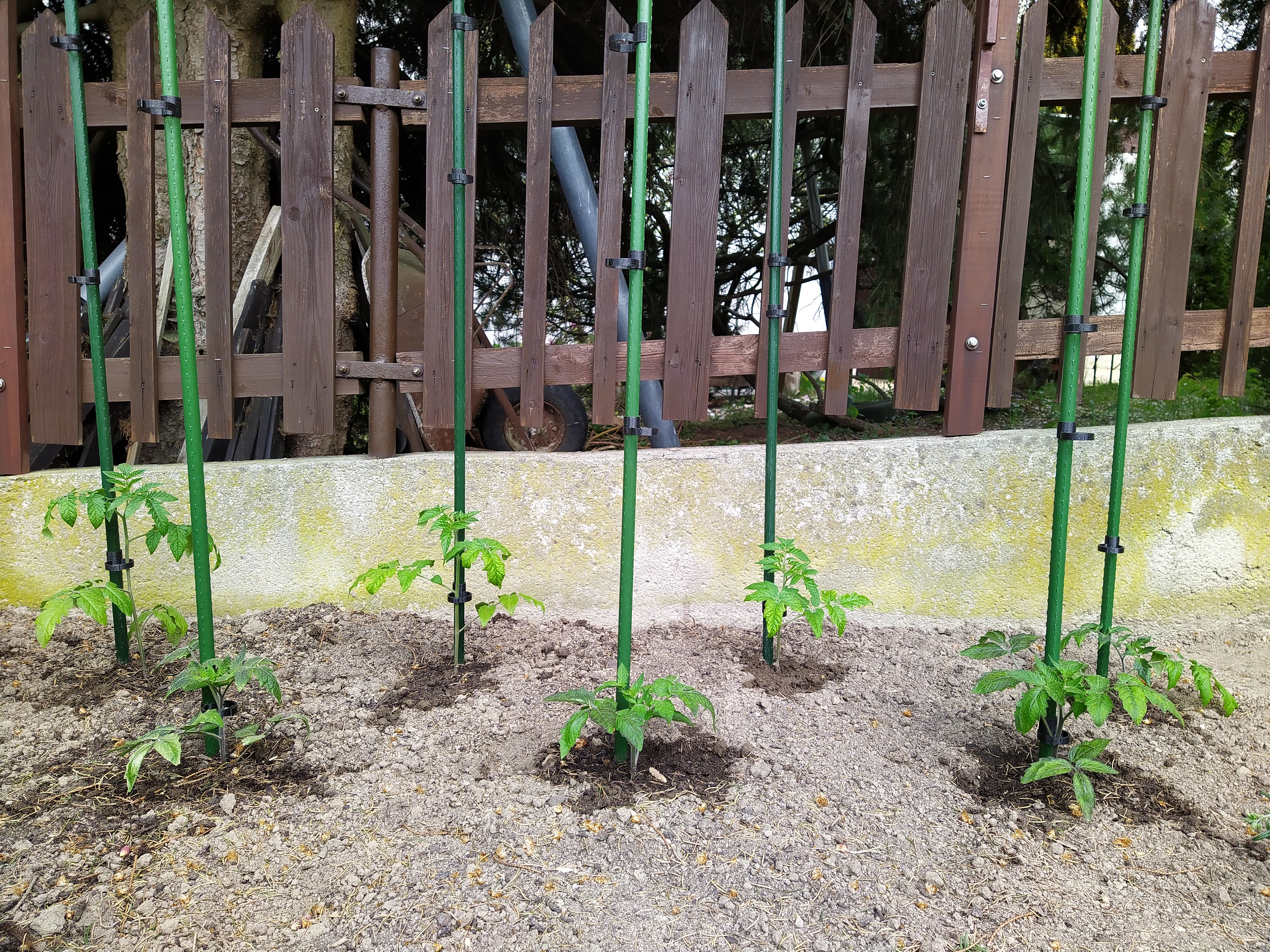 Plant clip - photo 2