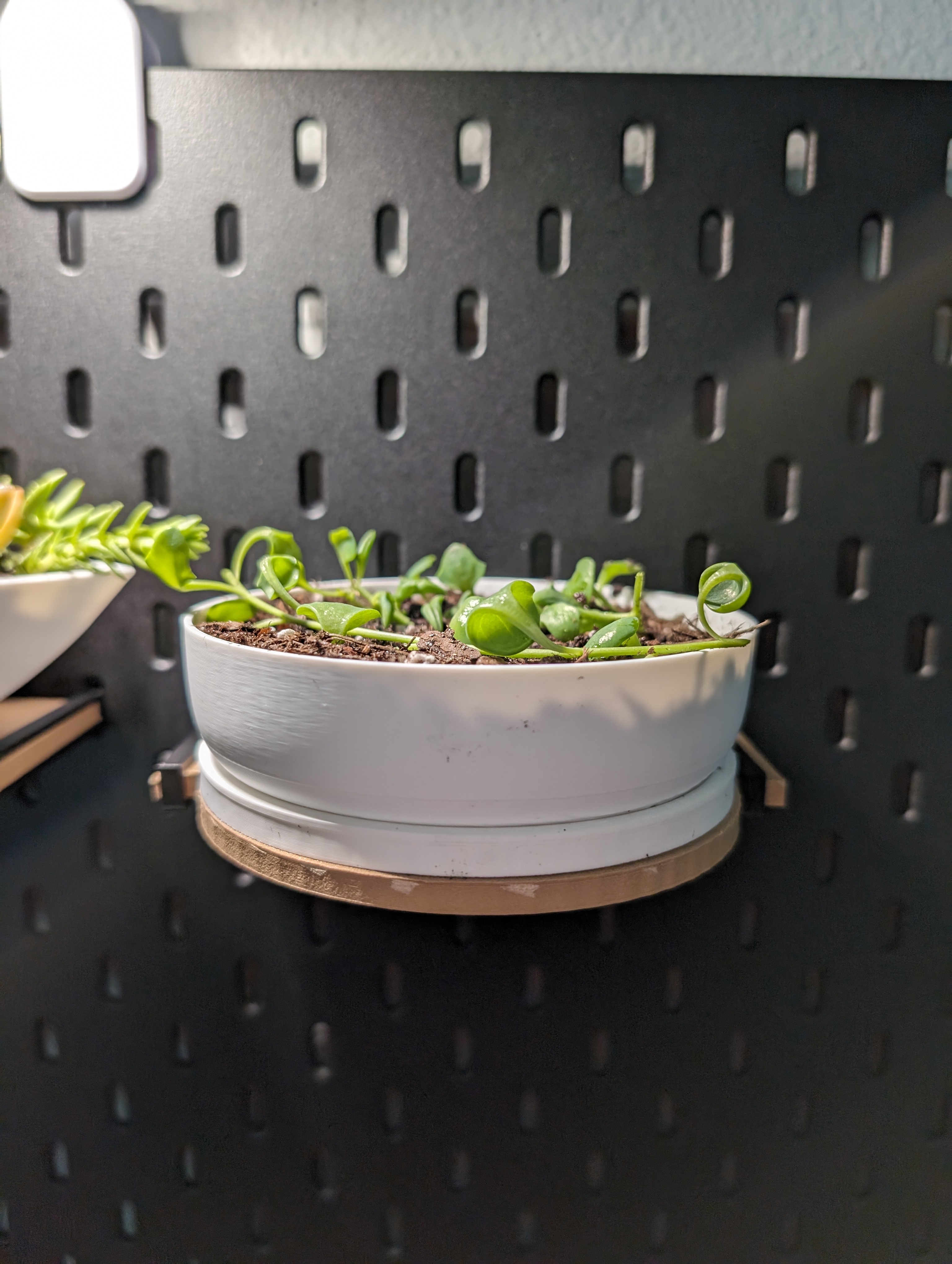 Circular Skadis Shelf with Supports - photo 2
