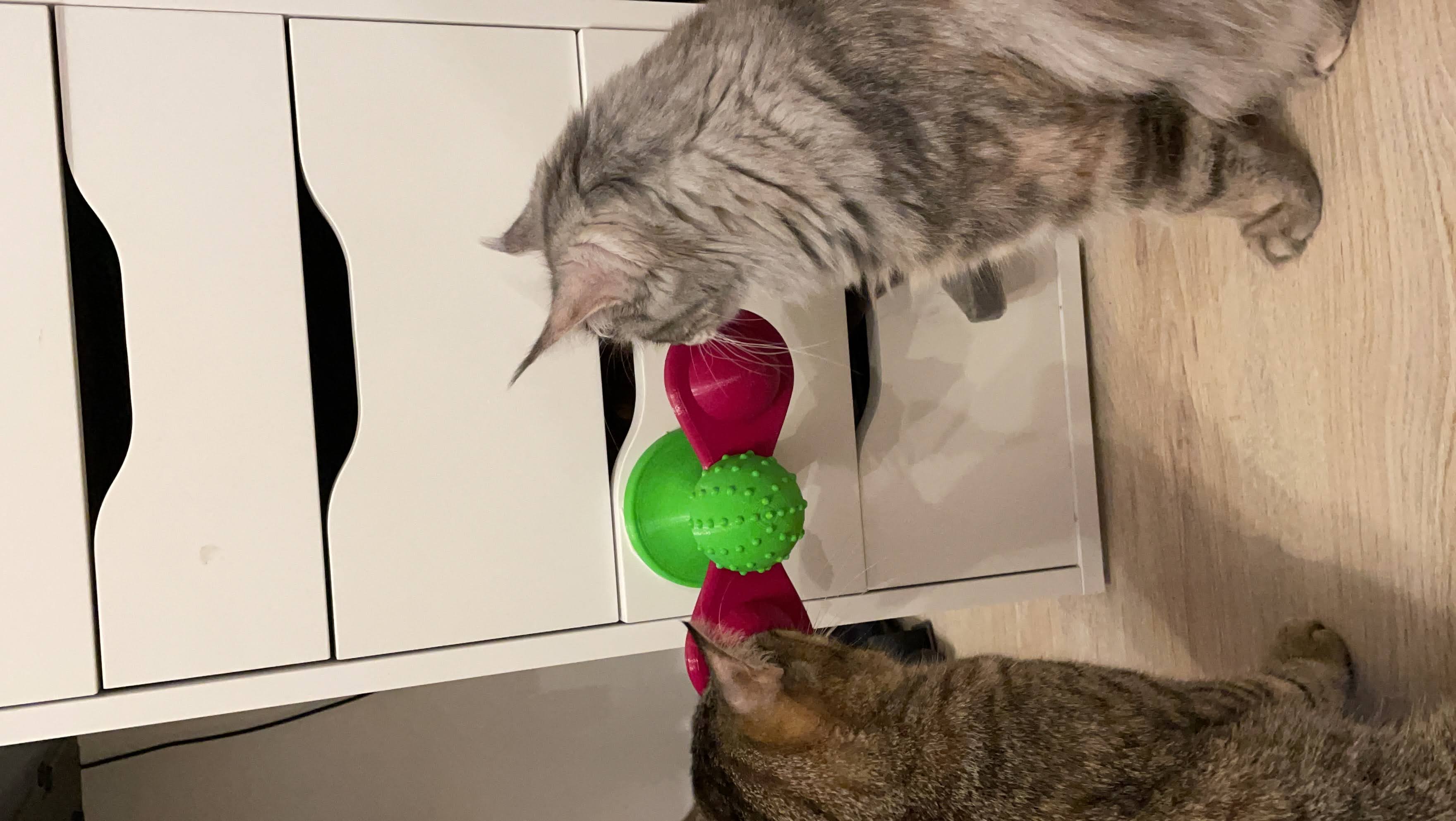 Cat spinner (toy) - photo 2