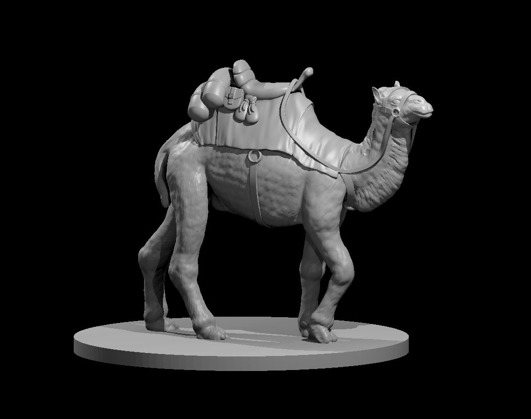 Camel Mount with and without mini slot