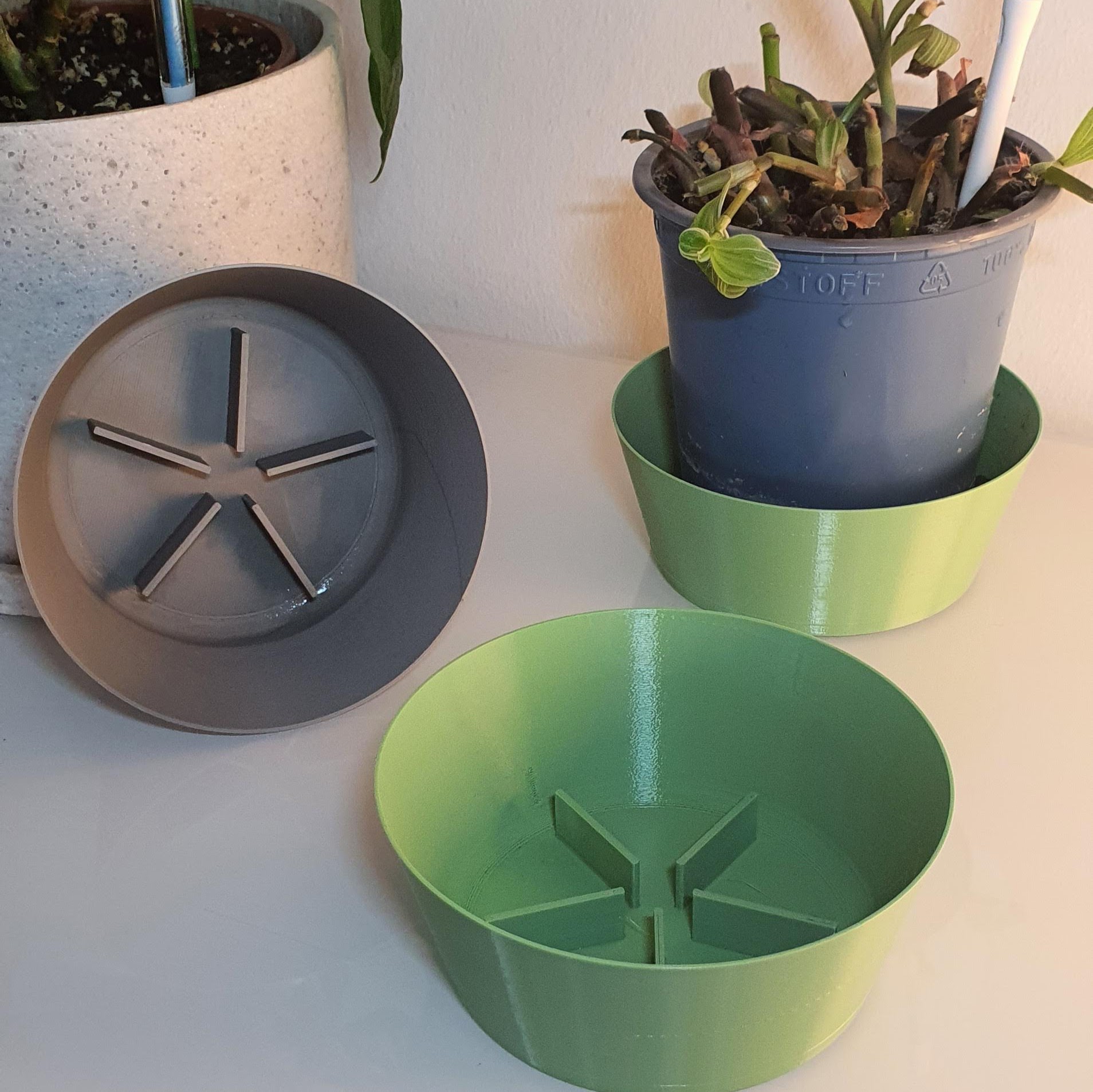 Plant Parking / Tray