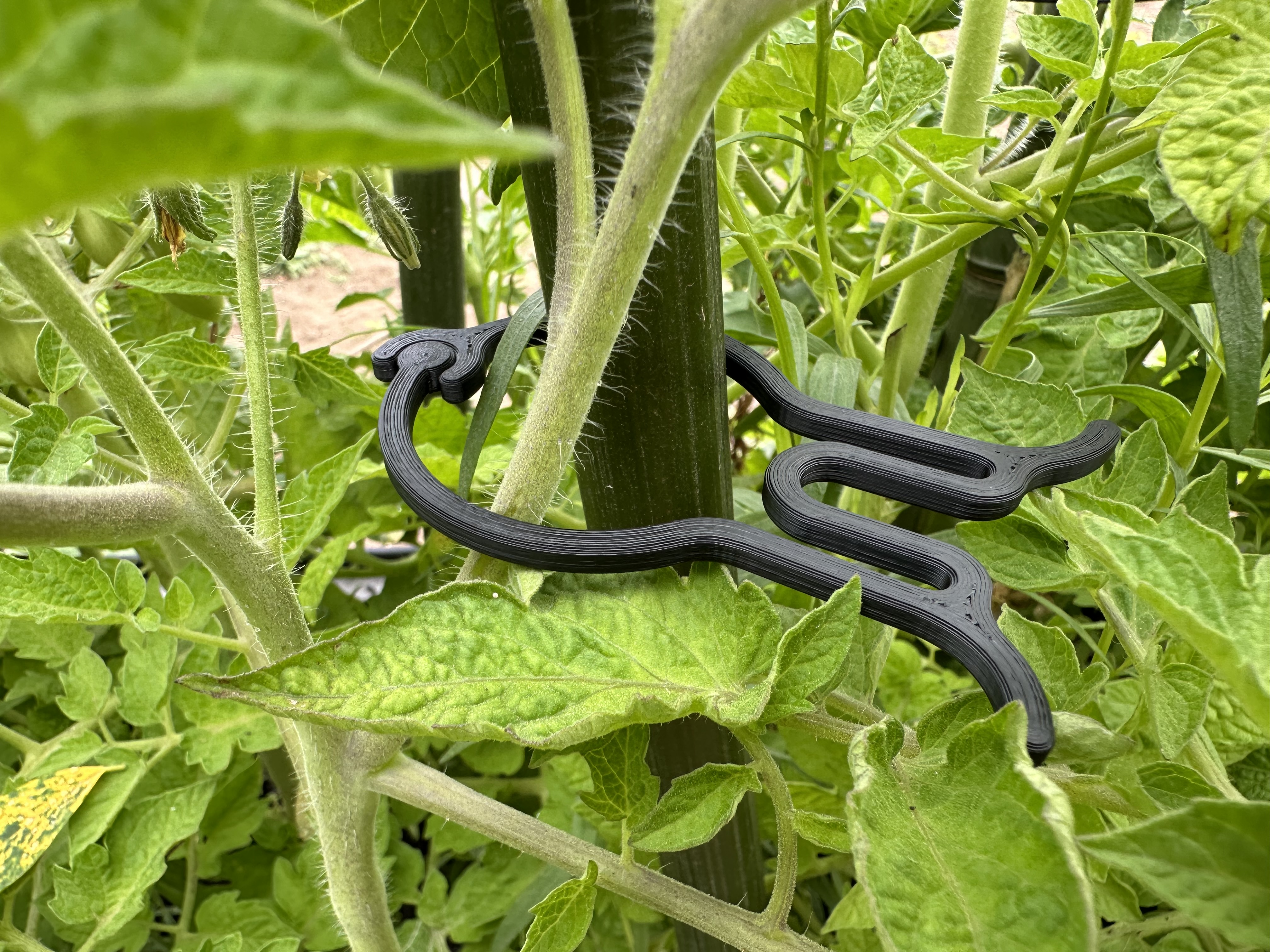 Supersized plant clip