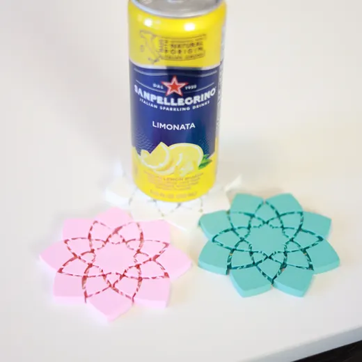 ARTICULATING FLOWER COASTER! - photo 2