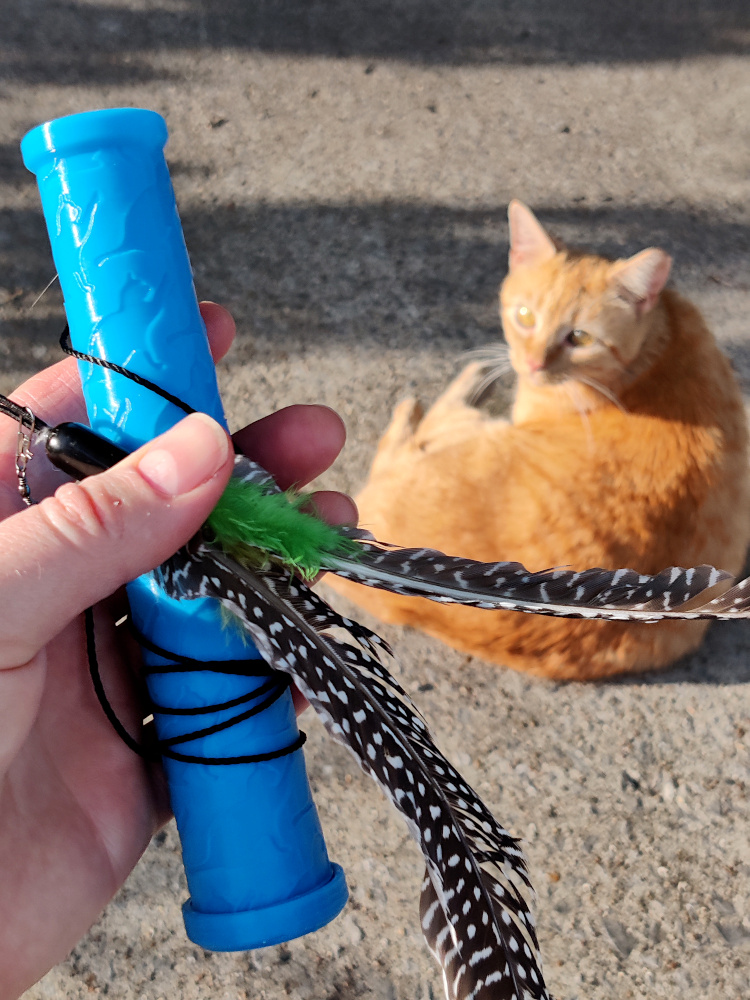 Telescoping Cat Saber - Retractable Cat Wand Toy! - photo 4