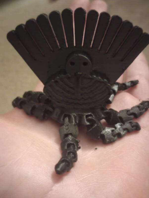 Articulated Turkey Octopus