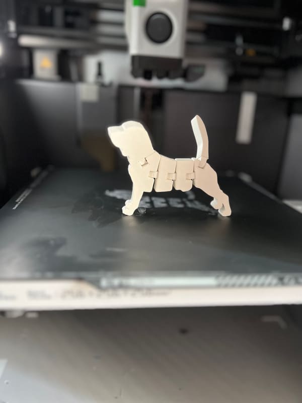 Cute flexi Beagle dog