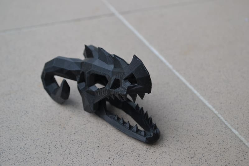 Dragon skull - photo 2