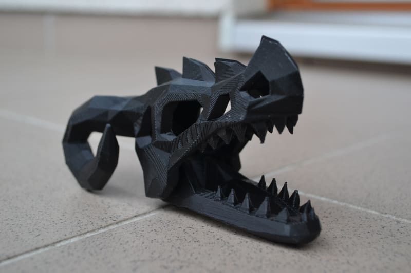 Dragon skull