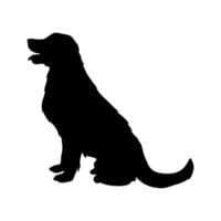 Flexi dog toy - photo 4