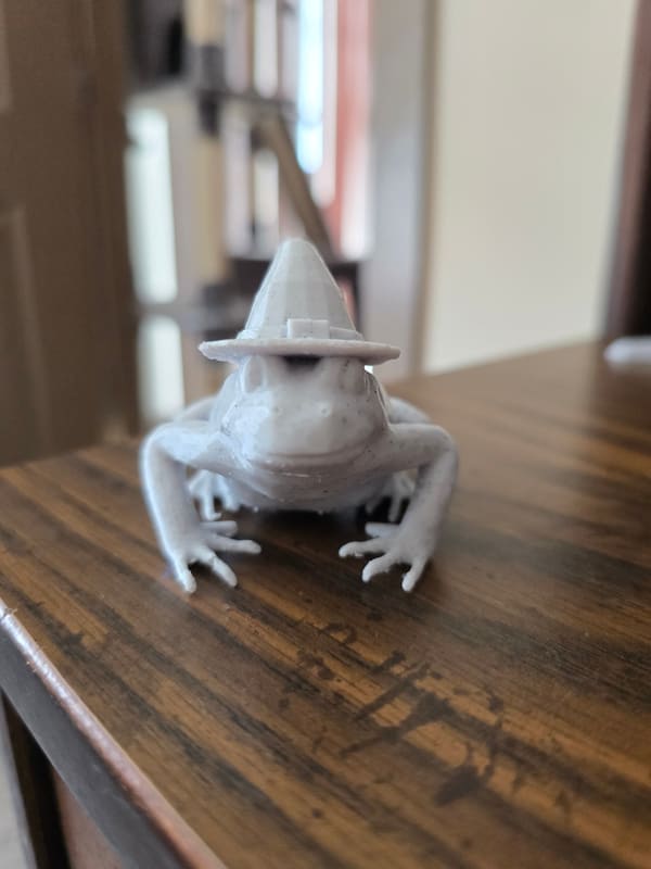Frog with Wizard Hat