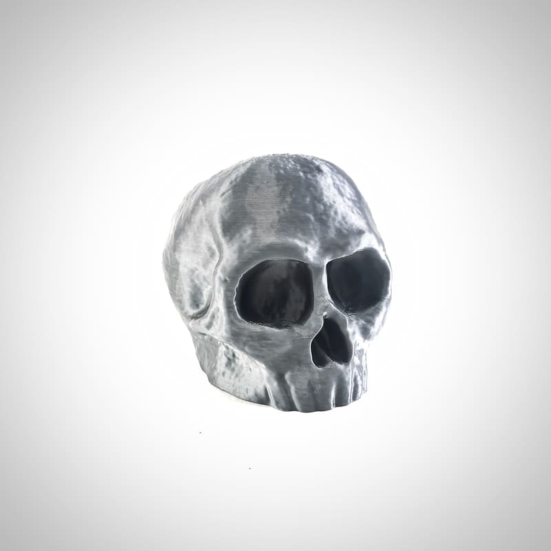Skull for Fdm
