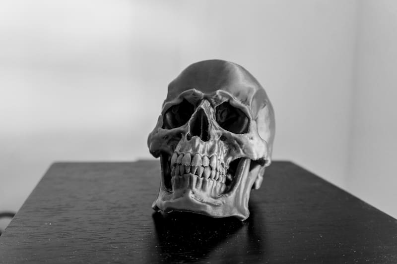 Skull Version 1.1 - photo 2
