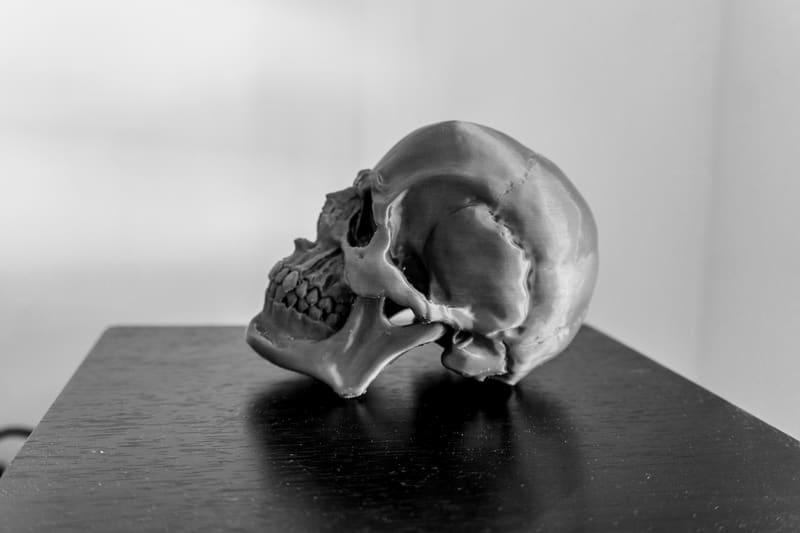 Skull Version 1.1 - photo 3