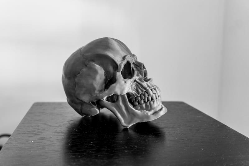 Skull Version 1.1 - photo 4
